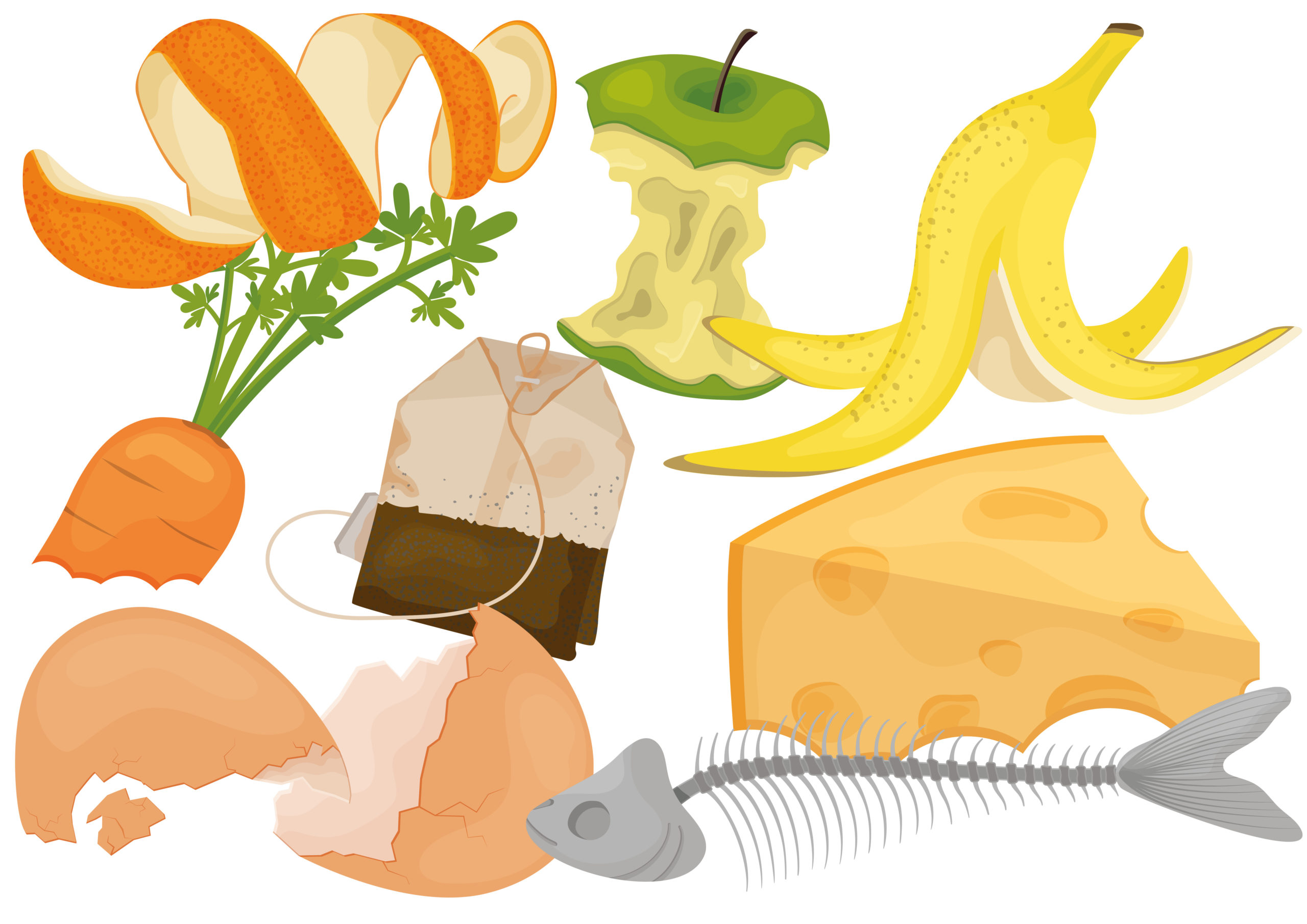 Biojäte: hedelmien kuoret, teepussi, kananmunankuoret, kalanruoto, omenankara
