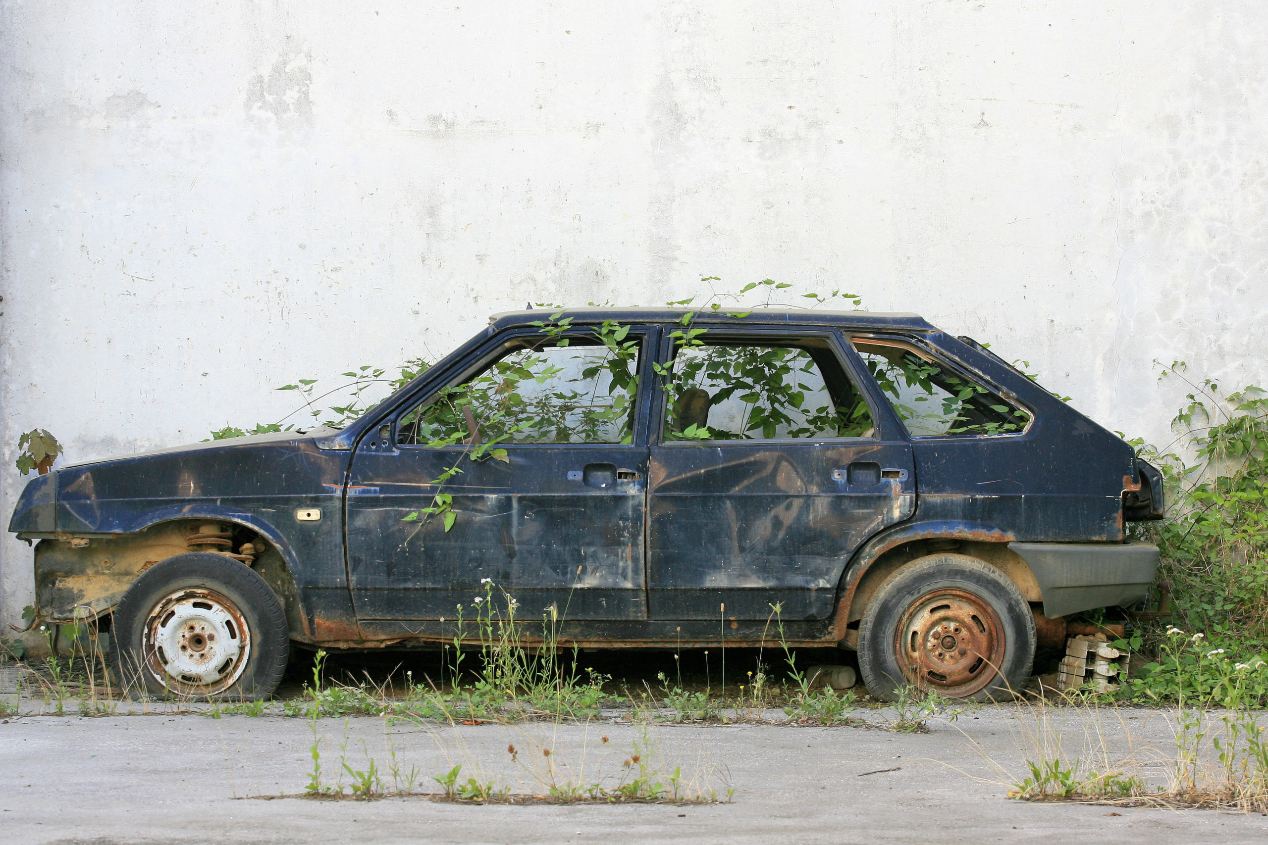 Hylätty vanha auto, jonka sisällä kasvaa heiniä ja muita kasveja
